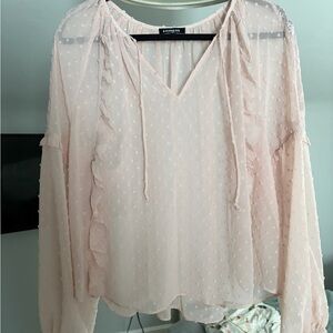 Express Women's Light Pink Sheer Blouse